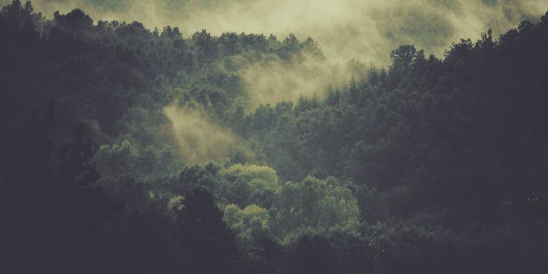 ISIU99视角：视频营销如何重塑品牌传播？三大创新案例揭示电商运营新路径