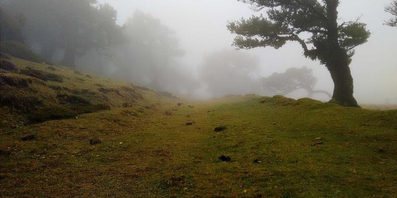 从流量收割到价值共生：长期主义视角下的品牌社群构建与UGC驱动策略