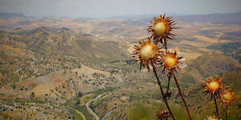 从触达到转化：电商服务如何通过个性化邮件营销与用户生命周期管理驱动增长