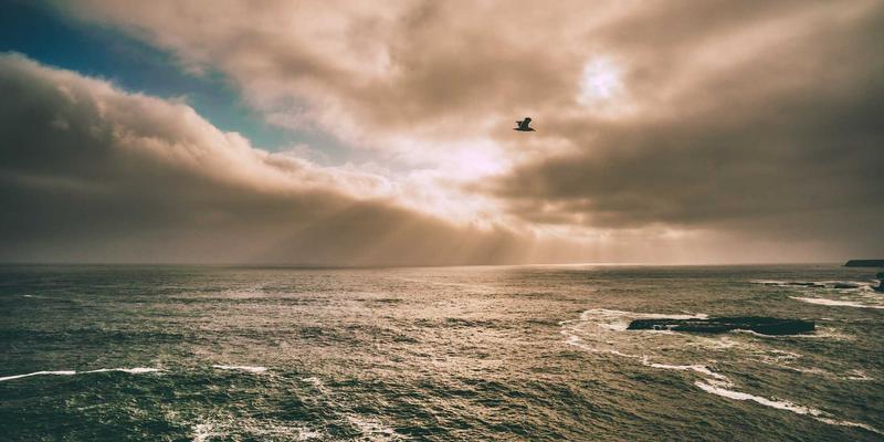 电商SEM进阶指南：智能出价与动态搜索广告的实战优化技巧，驱动ROI倍增