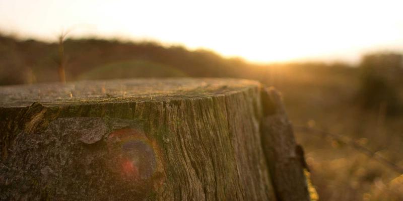 移动互联网时代，本地化网络营销如何破局？ISIU99方法论与实战路径解析